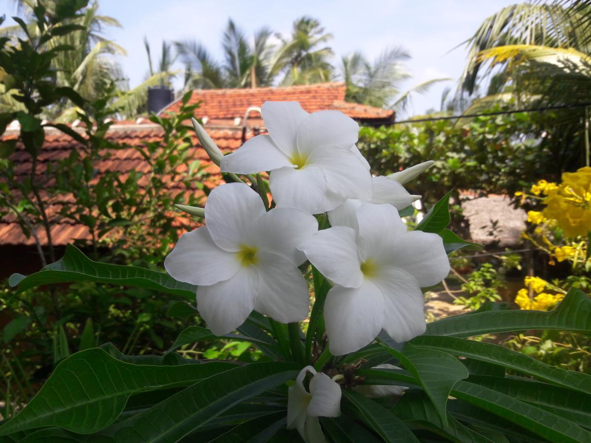 Natural Cabanas Tangalle Luaran gambar